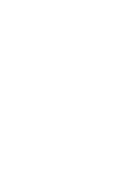 NEGIN HOLDING